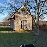 Green Village House