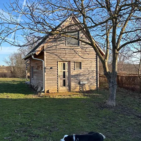 Green Village House